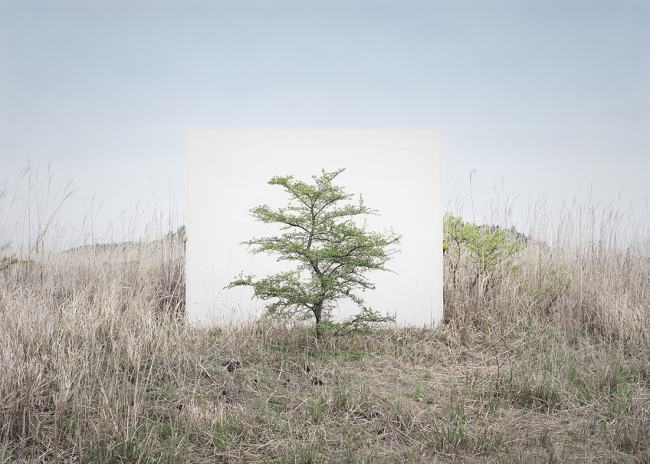 Photographer Lee Myung-ho’s 2017 work “Tree ... #9” (Gallery Hyundai)