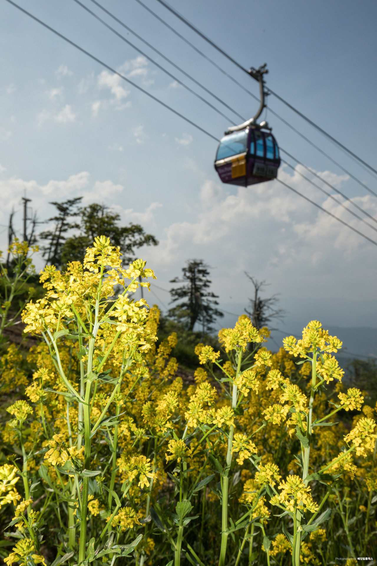 A gondola at Balwangsan (Yong Pyong Resort)