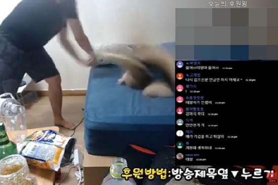 Suh throws his dog on to bed during YouTube livestream (Screen grab of Suh`s YouTube)