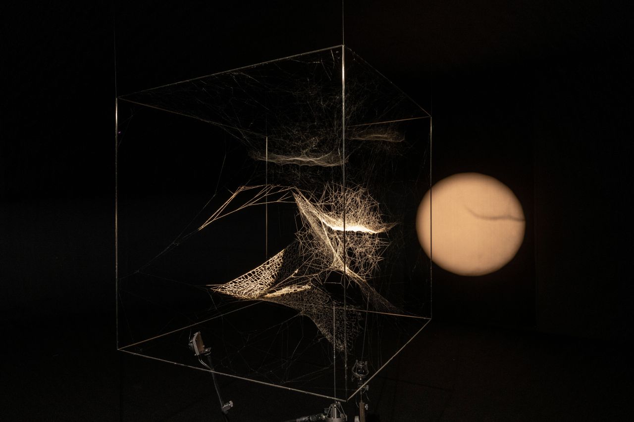Installation view of “Arachno Concert: With Arachne (Nephila senegalensis), Cosmic Dust (Porus Chondrite) and the Breathing Ensemble” (2016) by Tomas Saraceno at Gallery Hyundai, Seoul (Gallery Hyundai)