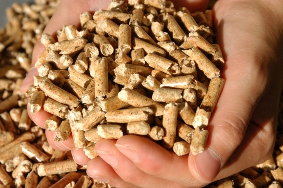 Wood pellets used for fuel (Korea Forest Service)