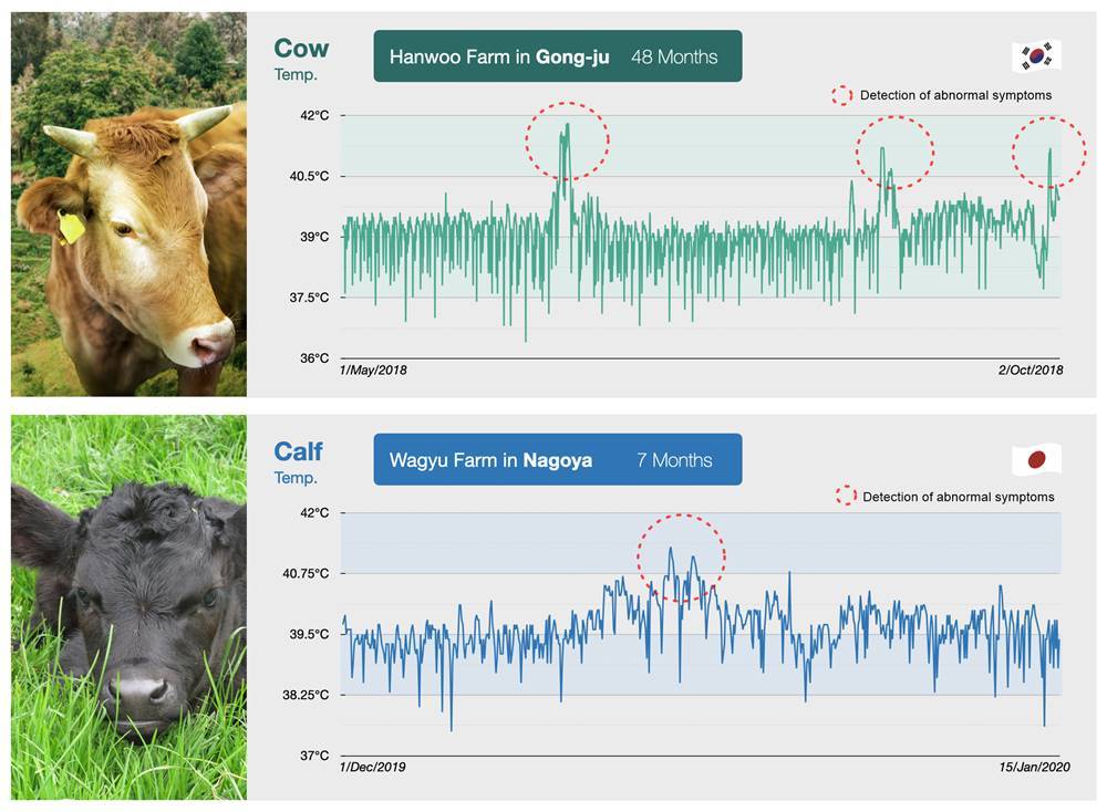ULikeKorea’s LiveCare technology detects bovine coronavirus (uLikeKorea)