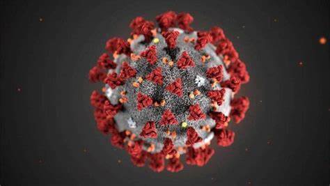 SARS-CoV-2 virus (Public domain)