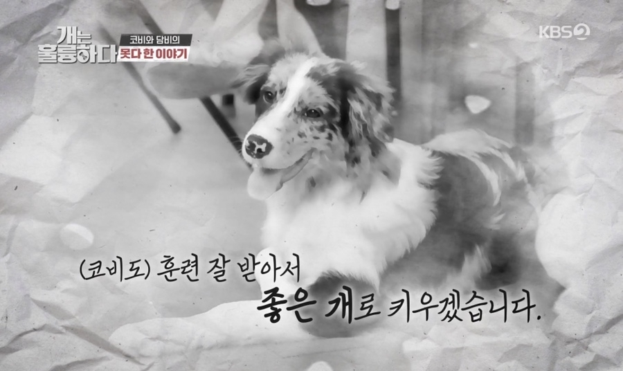 개는 훌륭하다(KBS 캡처-연합뉴스)