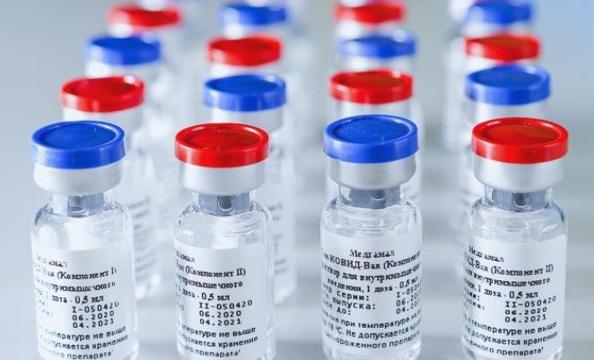 The Sputnik V vaccine, developed at the National Research Centre for Epidemiology and Microbiology in Moscow (Photo captured by the Russian Direct Investment Fund's website)