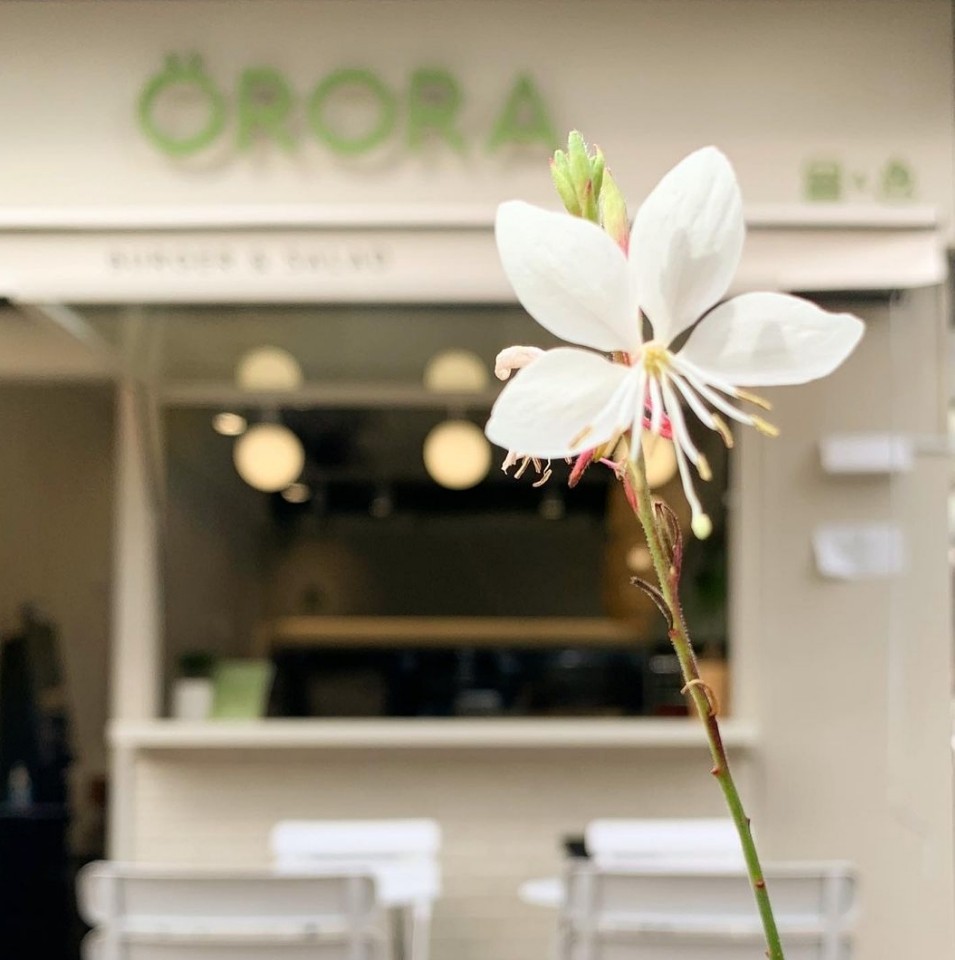 Orora Burger and Salad opened in Sinsa-dong, Seoul, in September. (Photo credit: Orora Burger and Salad)