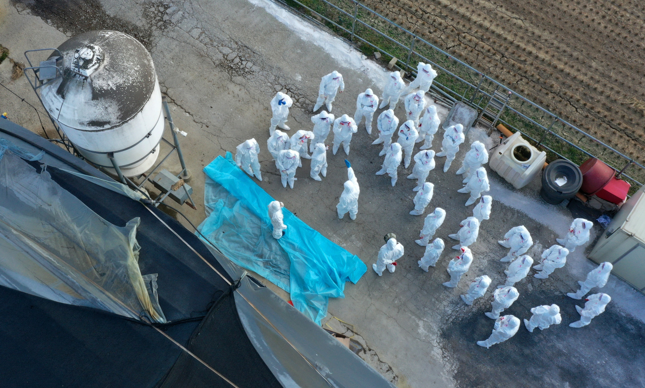 Officials prepare to cull ducks at a farm in Naju, 355 kilometers south of Seoul, on Tuesday, in line with efforts to prevent the spread of avian influenza. (Yonhap)