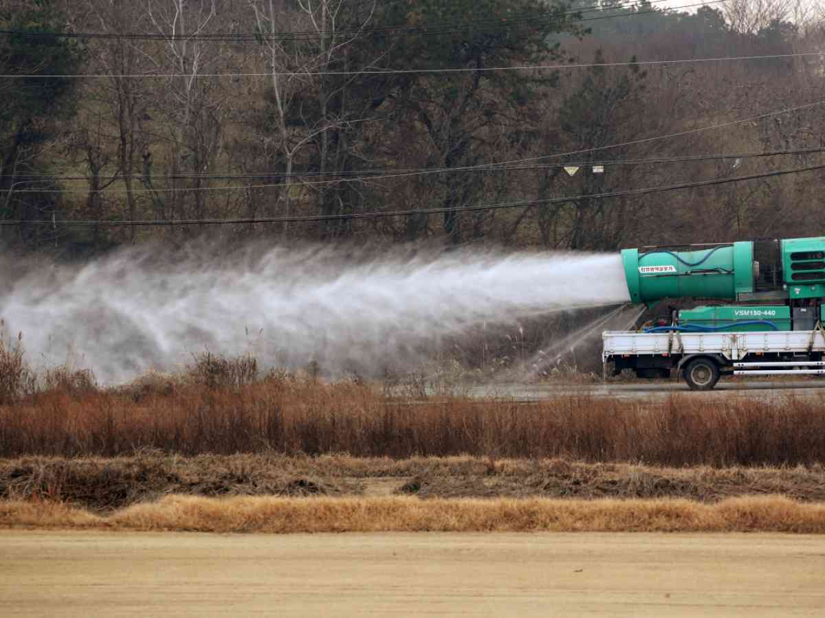 S. Korea's bird flu battle at critical juncture