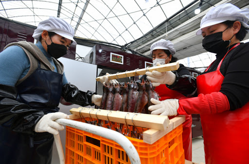 Residents of Hwacheon produce semi-dried sancheoneo, a species of trout, last Friday, in this photo provided by the Hwacheon county office. (Hwacheon Country Office)