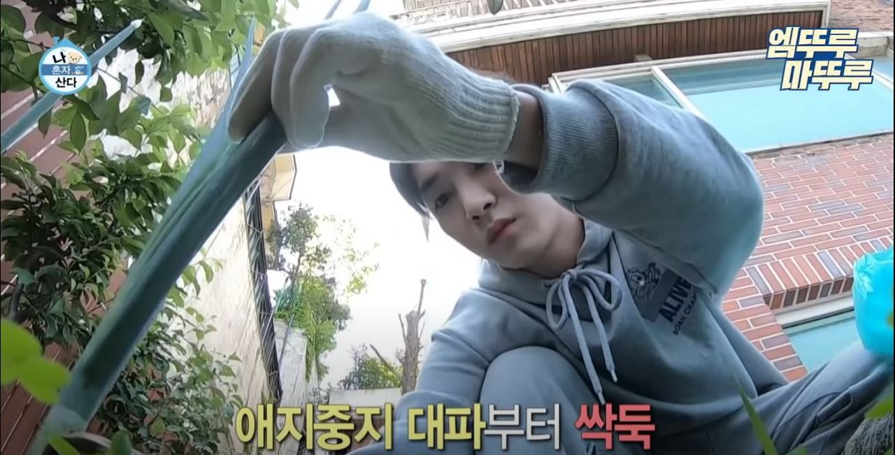 Key of boy band SHINee gathers scallions grown on his apartment balcony during an episode of MBC reality show “I Live Alone,” May 28. (YouTube screencap)