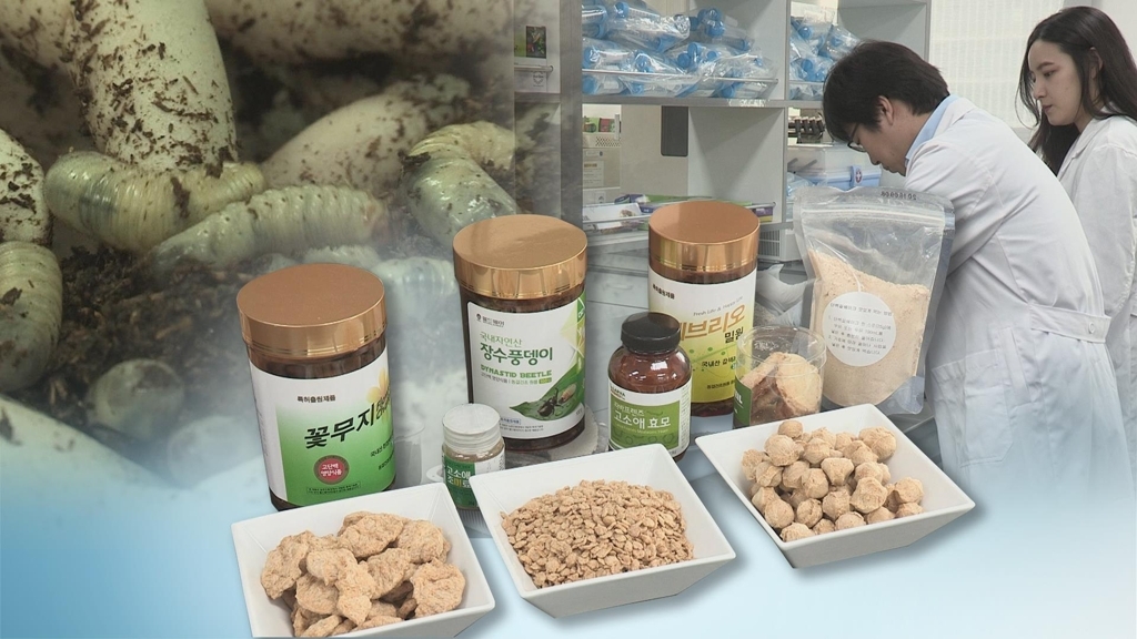 South Korea's insect industry (Yonhap)