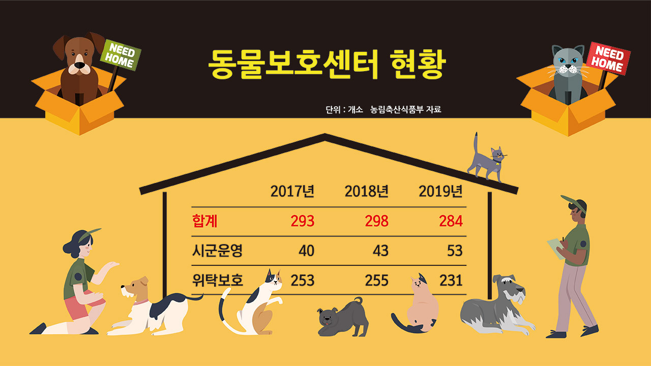 헤븐] “보호소가 아니라 수용소가 됐다”…코로나19에 유기동물 보호소는 '만실' - 헤럴드경제