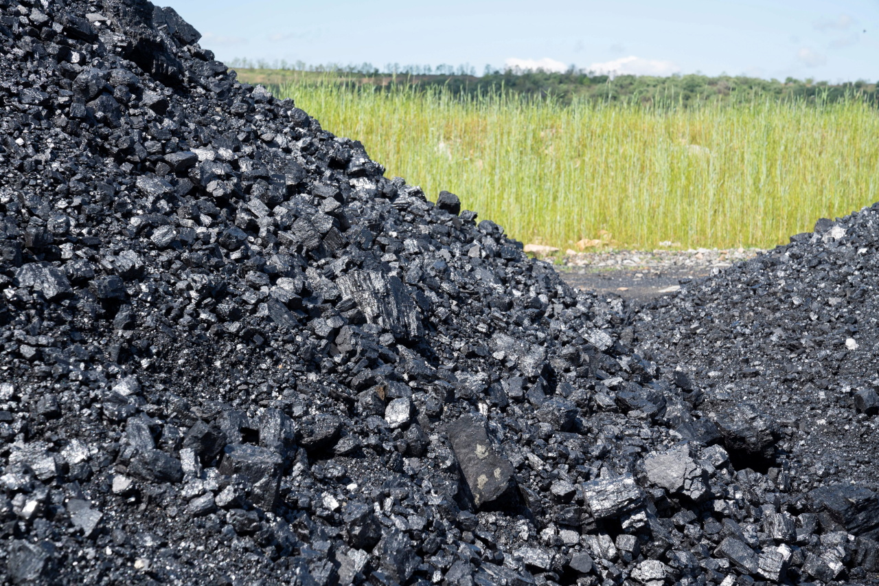 Coal is piled at an active mine next to a new solar power plant development site in Hurley, Virginia, on May 11. (Reuters-Yonhap)