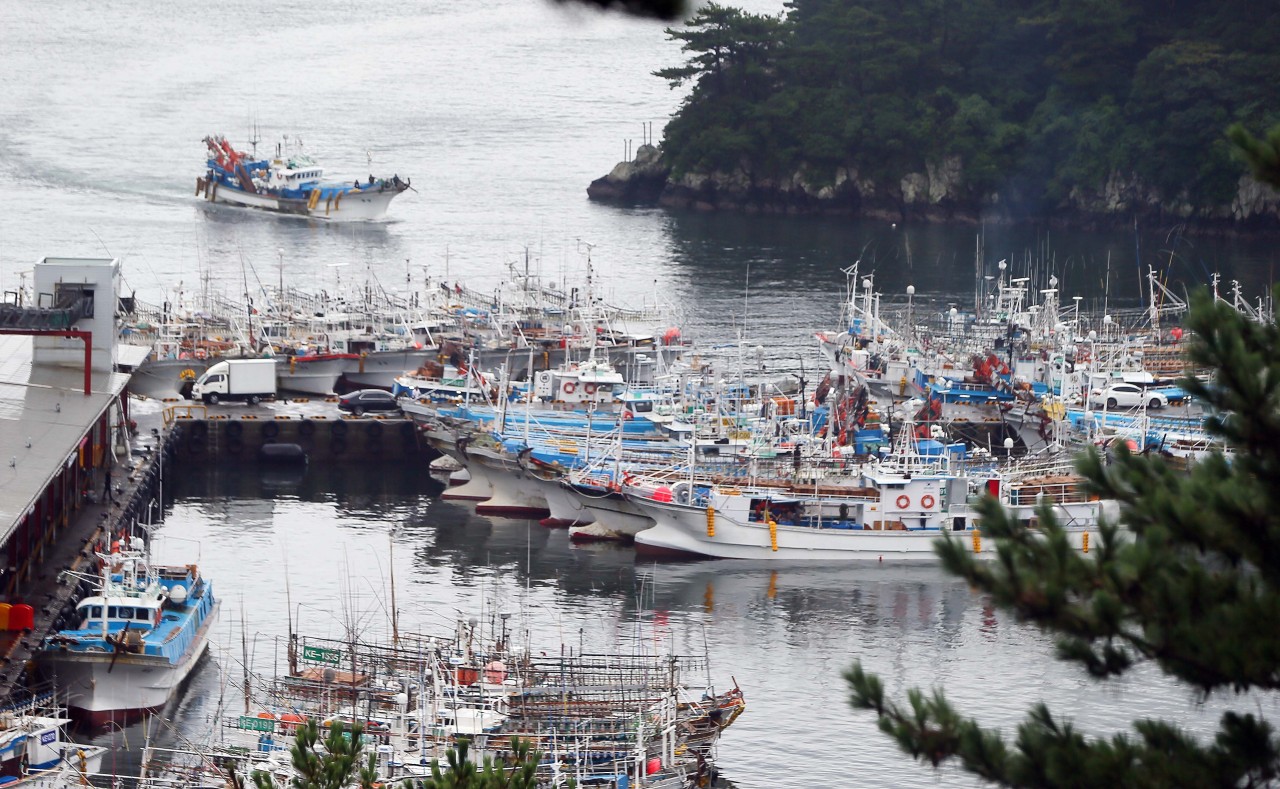 Scores of fishing boats are seen anchored at Seogwipo Port on Jeju Island amid the approach of Tropical Storm Omais on Aug. 22, 2021. (Yonhap)