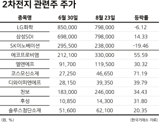 2차전지 소재주 SK아이테크놀로지, 엔켐, 천보주가 주식 실적 전망 6