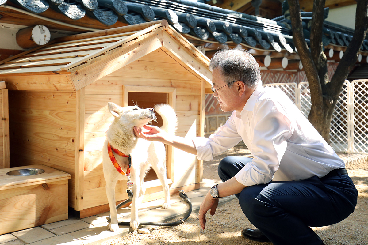 President Moon Jae-in and his dog Gomi (Cheong Wa Dae)