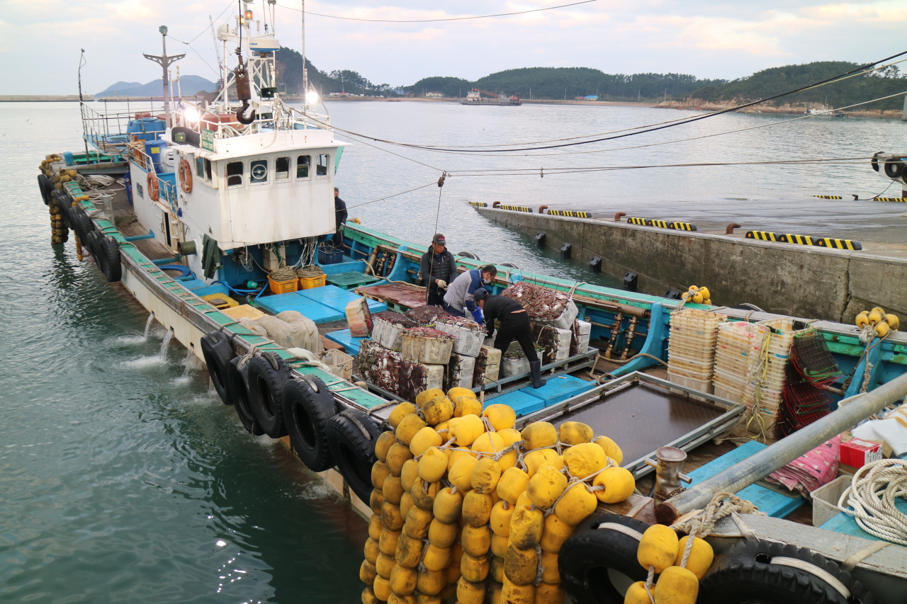 Fishermen lift boxes filled with blue crabs from a water tank of a fish carrier boat moored to the wharf of Sinjin Port in Taean County, South Chungcheong Province, on Oct. 24. (The Korea Herald)