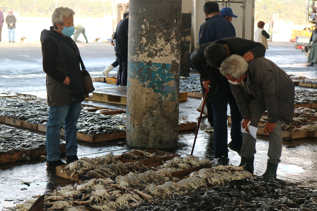 Buyers check the quality of fishes before an auction operated by the National Federation of Fisheries Cooperatives starts at Sinjin Port in Taean County, South Chungcheong Province, on Oct. 24. (The Korea Herald)