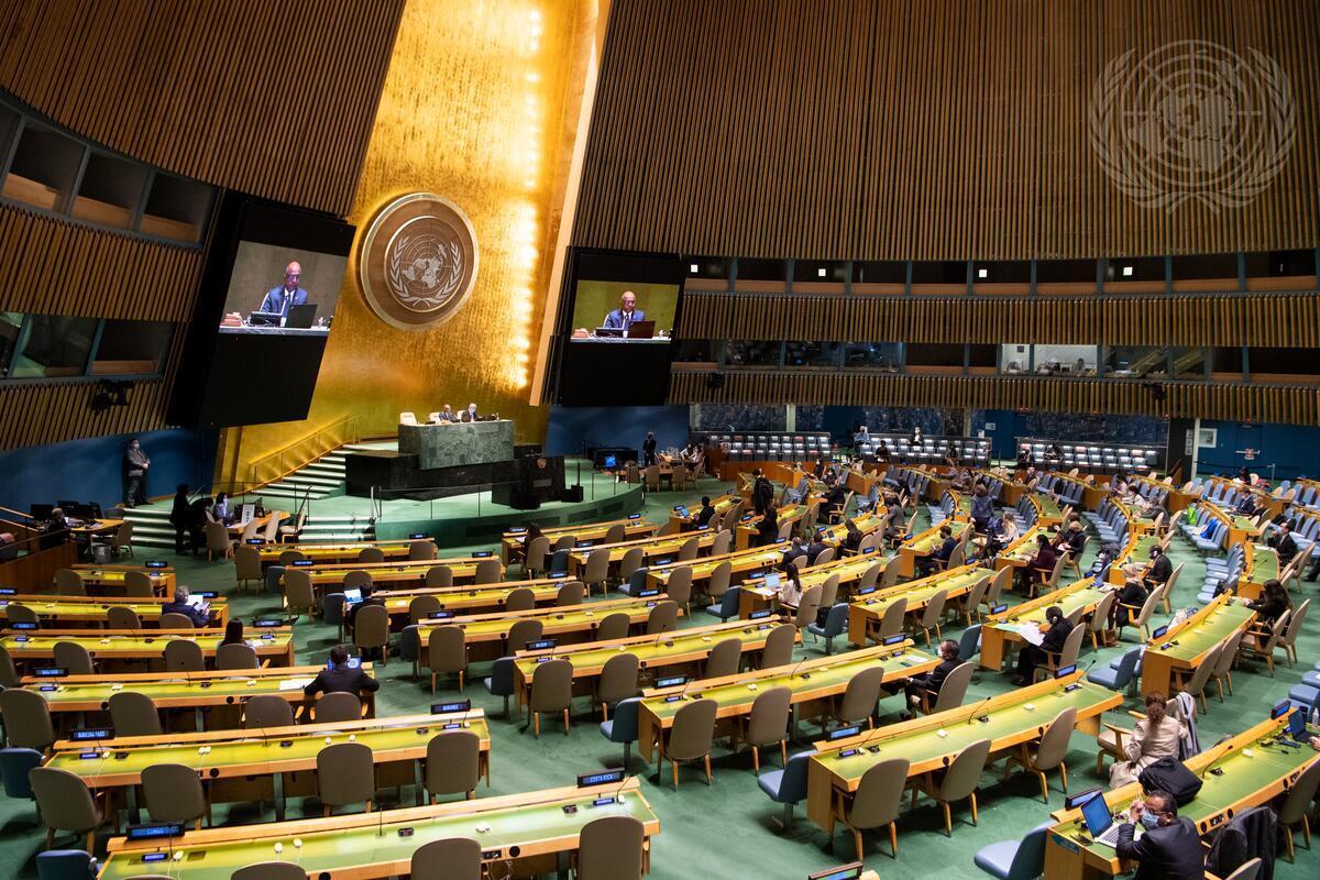 The UN General Assembly hears report of Human Rights Council. (UN Photo/Eskinder Debebe)