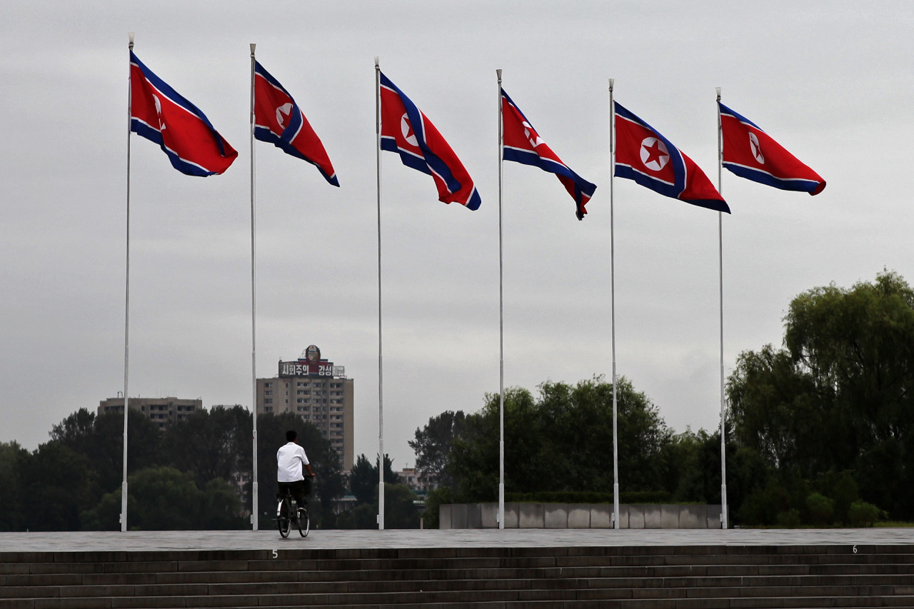 North Korean flags (Roman Harak)