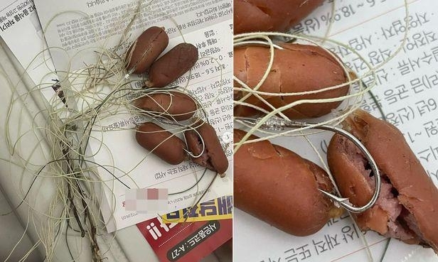 This undated composite photo captured from social media shows a batch of fishhooks skewered with mini sausages discovered at a park popular among dog owners in Incheon, west of Seoul. (Social media screenshot)