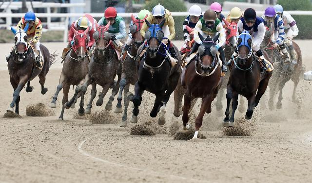 An image of a horse race (Korean Racing Authority)