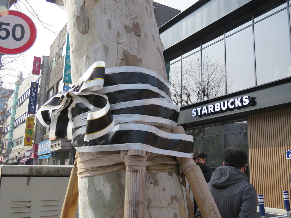 In this photo taken on Thursday, a roadside tree in Seodaemun-gu, Seoul is wrapped in black ribbon by a local environmentalist group in protest of the prosecution‘s recent decision not to press charges against a man responsible for the pesticide-induced death of trees. (Korea Federation for Environmental Movements’ Seoul Branch)