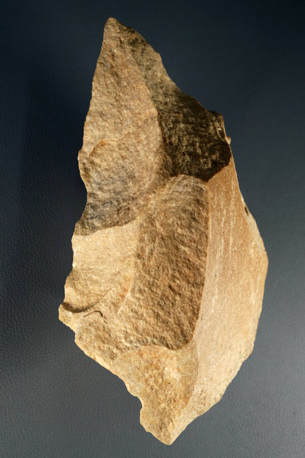 Jeongokri handaxe, an Acheulean-like handaxe from Korea estimated to have been used 70,000 to 40,000 years ago by ancient Hominin, the group of extinct human species of immediate human ancestors. Photo © Hyungwon Kang