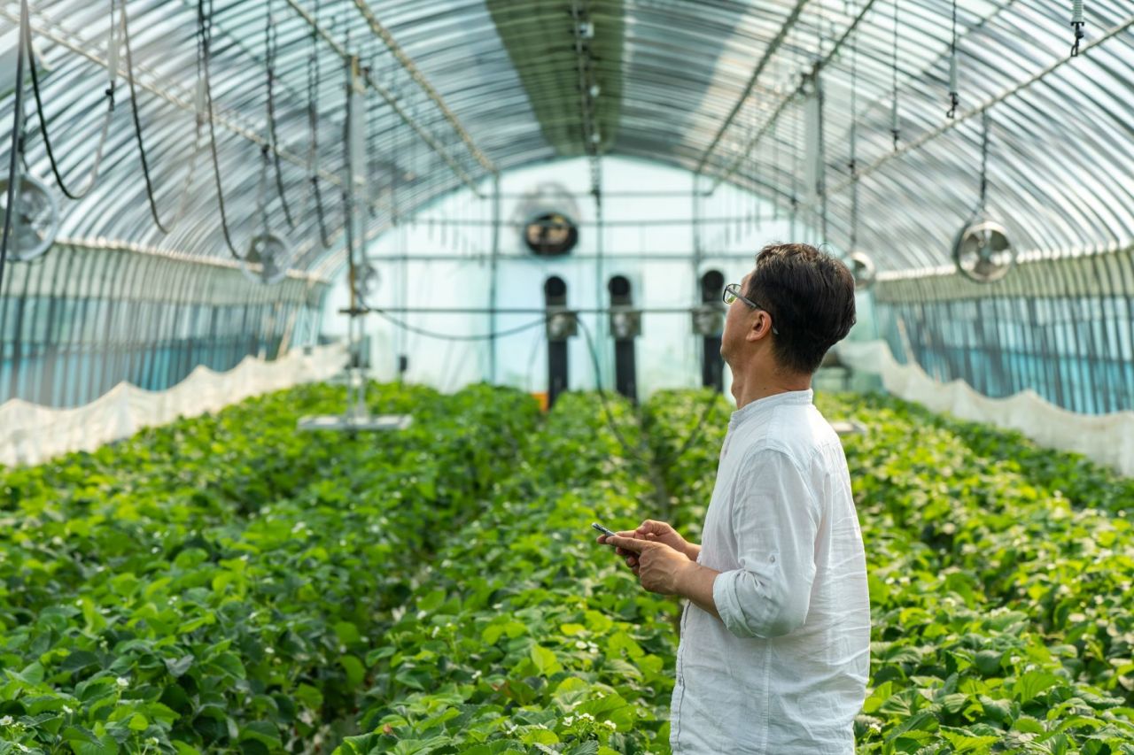 Lee Kyung-ju checks the temperature of his cucumber green house in Cheonan, South Chungcheong Province. (Lee Kyung-ju)