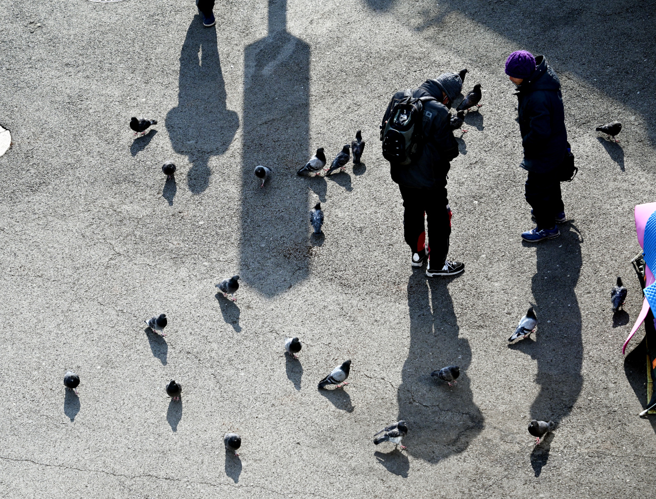 Pigeons flock outside one of the tents installed for the homeless by local groups near Seoul Station. (Park Hyun-koo/The Korea Herald)