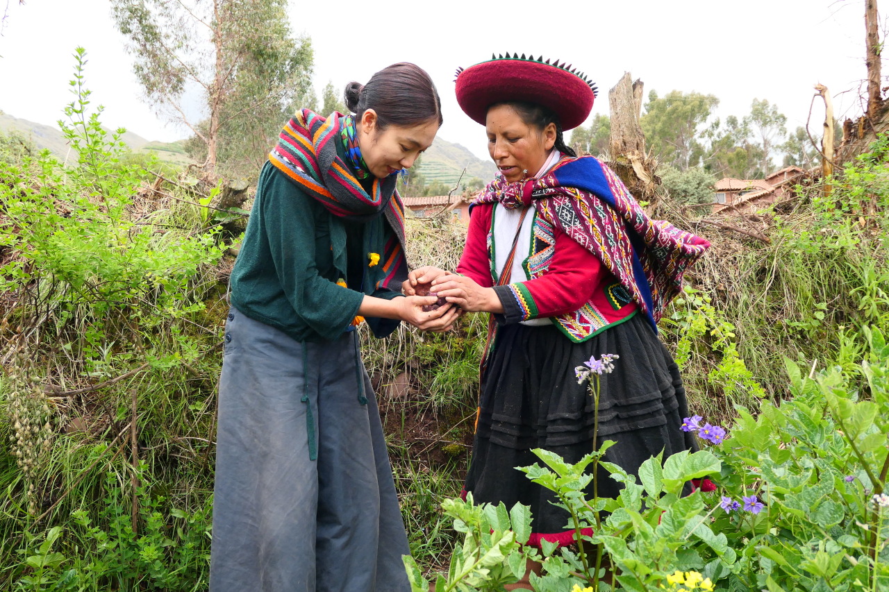 Ha, on a research trip in Peru in 2019. (Spoken Company)