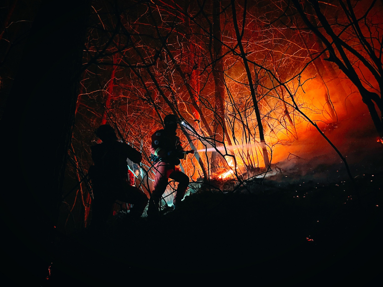 Wildfires on east coast burn nearly 24,000 ha of woodland, most devastating on record