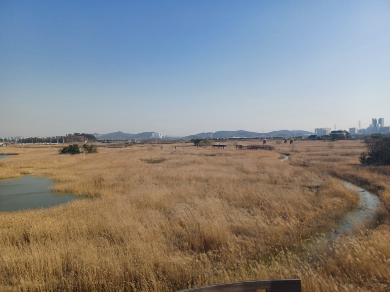 A panoramic view of the reed and marsh fields from the top of three-story observatory (Lee Si-jin/The Korea Herald)