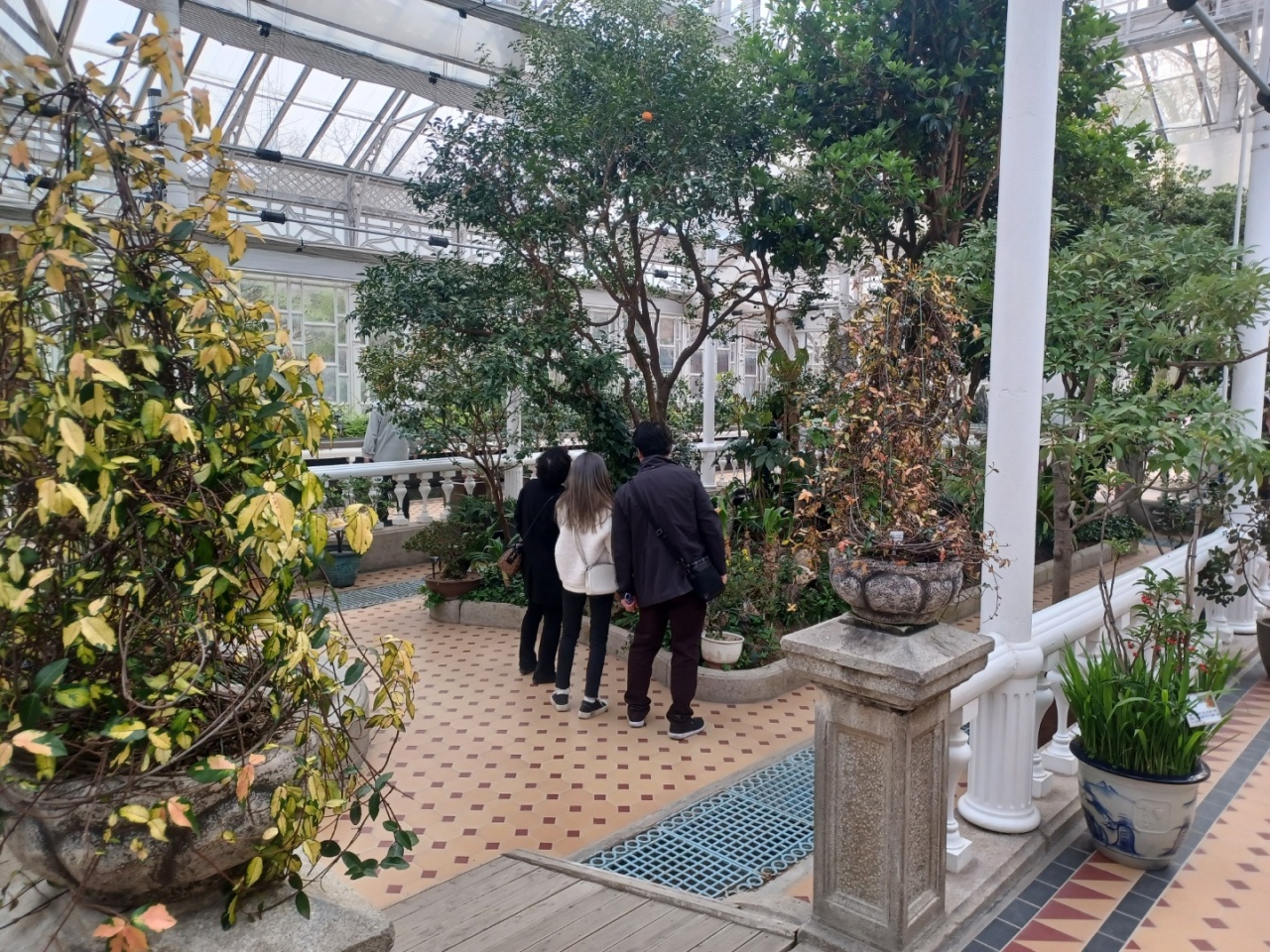 Visitors look at citrus junos plants at the Grand Greenhouse (Lee Si-jin/The Korea Herald)