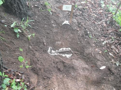 This photo, provided by the defense ministry, shows the remains of Noh Jae-gyun, a South Korean troop killed during the 1950-53 Korean War, in Chuncheon, 85 kilometers northeast of Seoul. (Defense ministry)