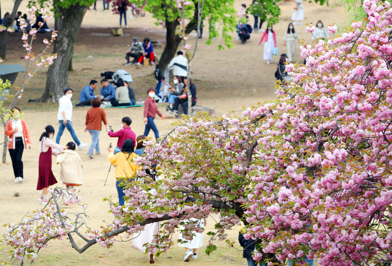 People enjoy looking at flowers at Bulguk Temple in Gyeongju, North Gyeongsang Province, on Thursday. (Yonhap)