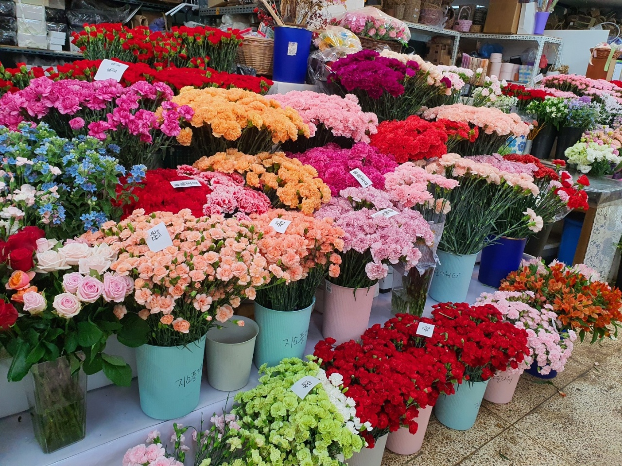 Carnations are on sale at Yangjae Flower Market Center in Seocho-gu, southern Seoul. (Yangjae Flower Market Center)