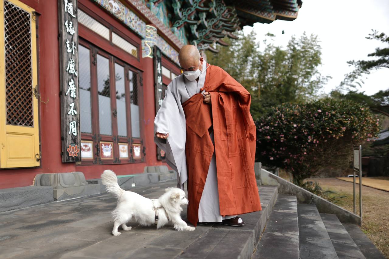 Great Ven. Haekook, one of the Great Monks in Korean Buddhism and a Chamseon master, is pictured with temple dog Bori at Namgukseonwon on Jeju Island.Photo © Hyungwon Kang