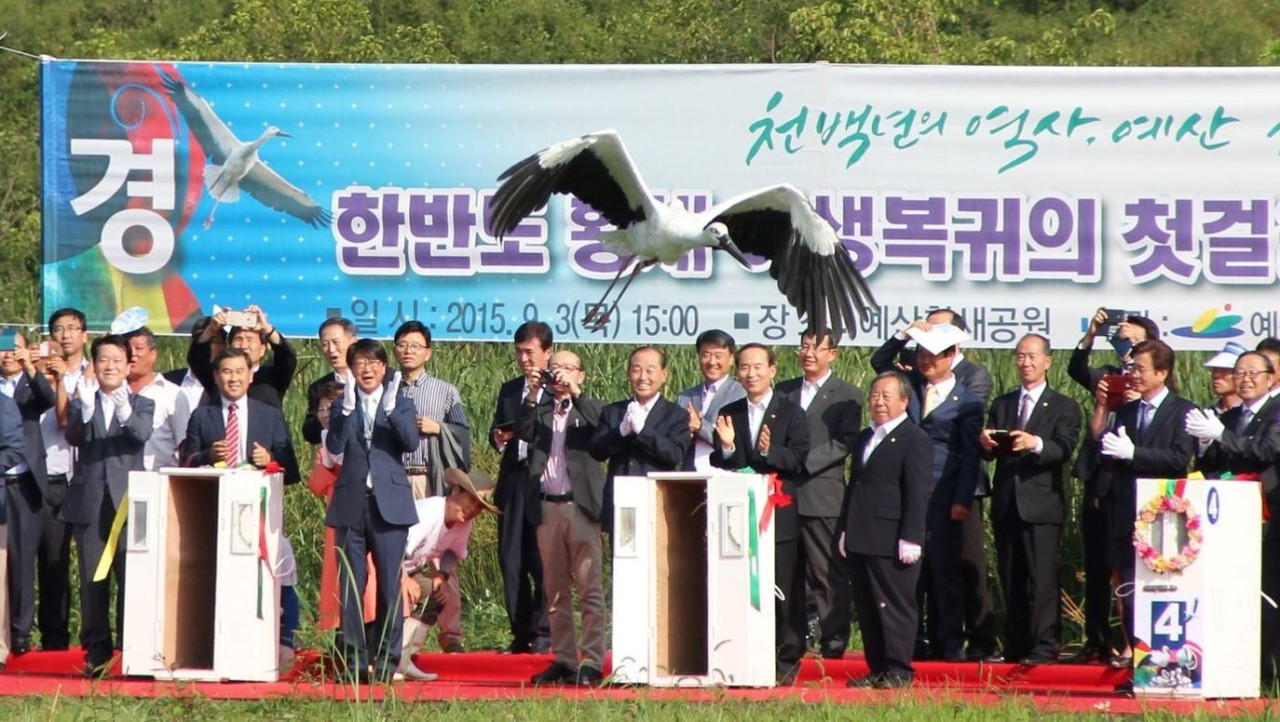 People clap and cheer as a released stork flies away into the wild at a releasing ceremony at the Yesan Stork Park, South Chungcheong Province, Sept. 3, 2015. (Yesan Stork Park)