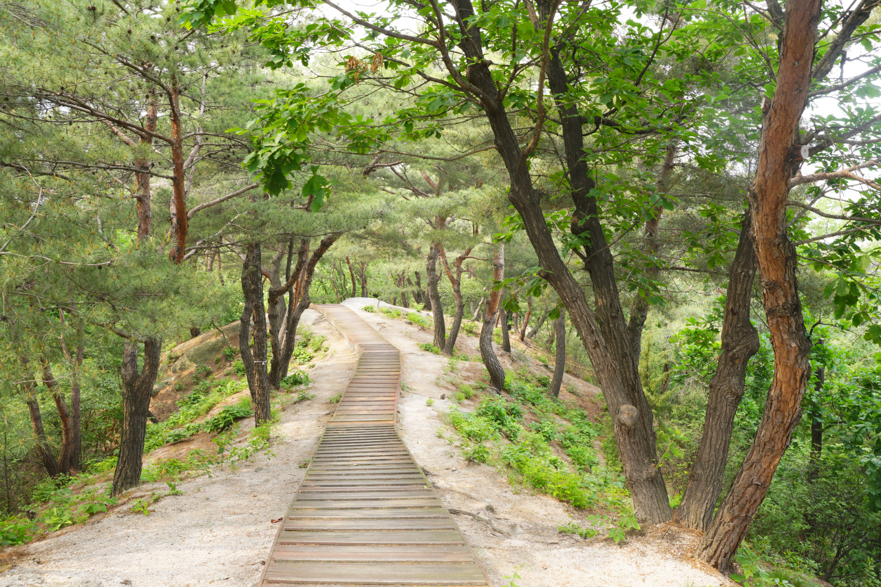 Forest path at Uireung, located Seongbuk-gu, northern Seoul (CHA)