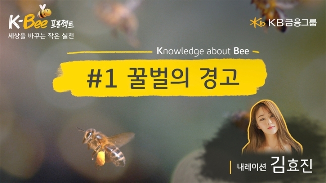 Screencap of KB’s “Warning of the Bees” video, narrated by actor Kim Hyo-jin (KB Financial Group)