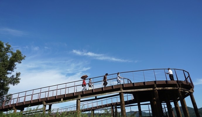 The wooden trail of Dasan Ecological Park (Namyangju)