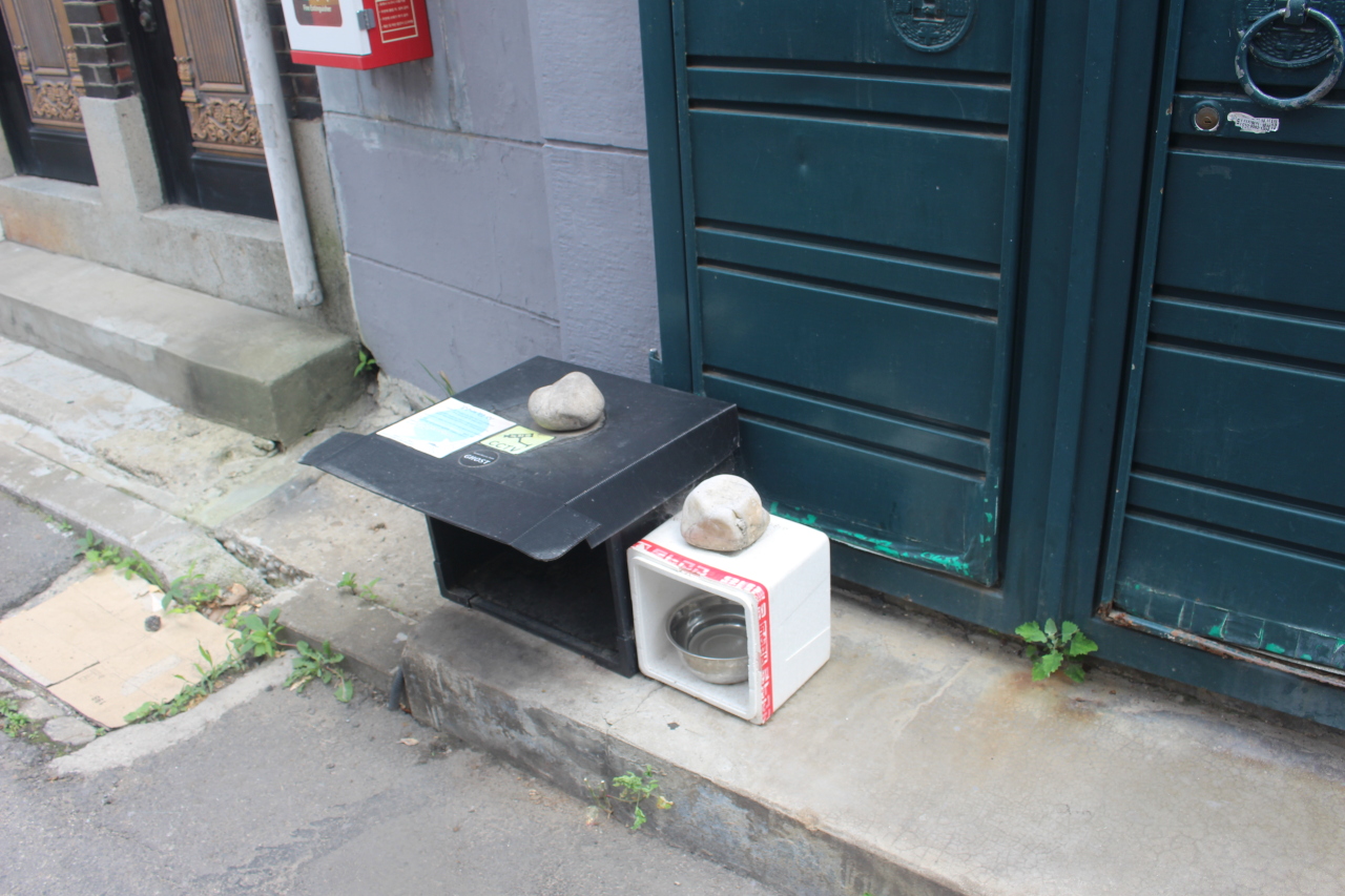 A private feeding station for stray cats set up outside a home in Nogosan-dong, Seoul. (Yoon Min-sik/The Korea Herald)