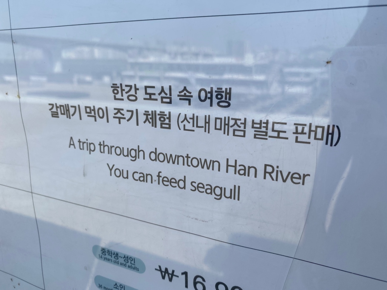 A sign near the river cruise dock in Seoul reads ““A trip through downtown Han River. You can feed seagull.” (Yim Hyun-su/The Korea Herald)
