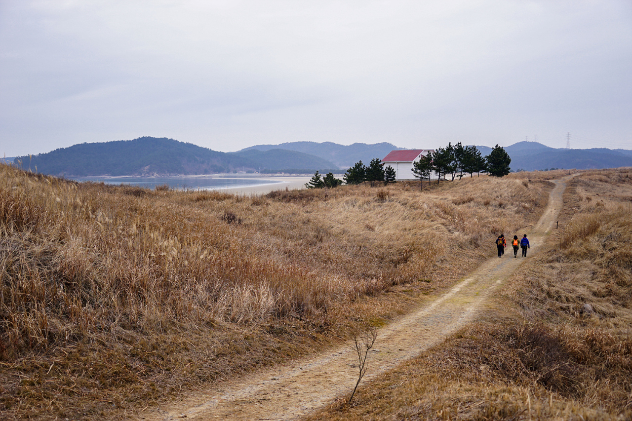 Taean Course 70 along Taean Sinduri Coastal Dune, in Taean, South Chungcheong Province (KTO)