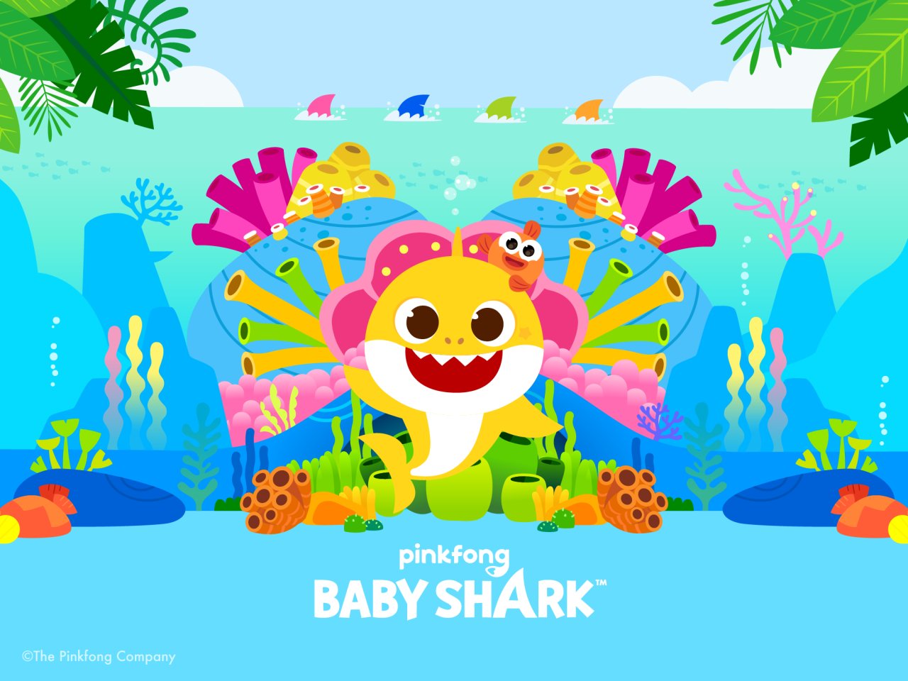 An image of Baby Shark-themed NFT (Pinkfong)