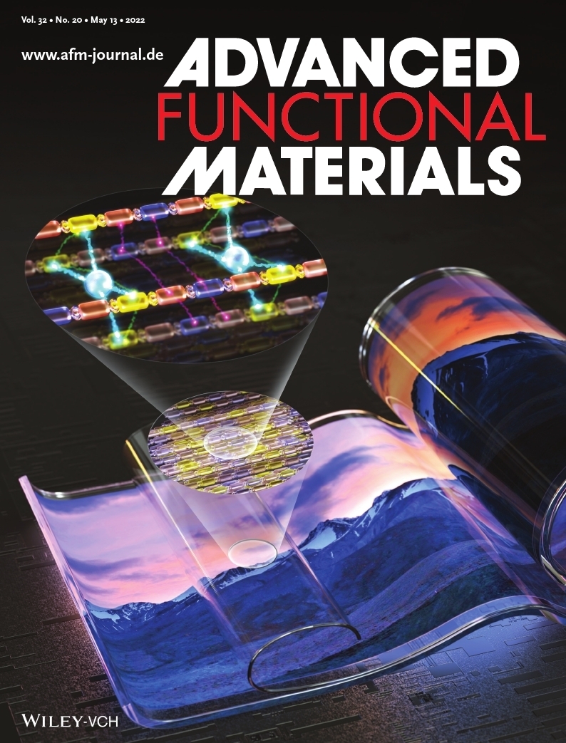 A May edition of Advanced Functional Materials, in which Dr. Hong Sung-woo’s research results were published as a cover story. (The Korea Institute of Production Technology)