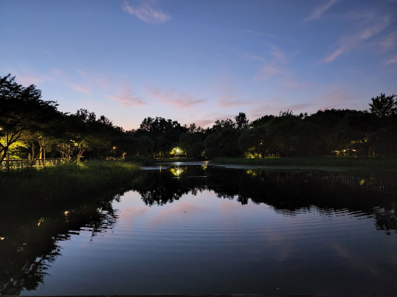A nighttime view of Seoul Forest Park (Hwang Dong-hee/The Korea Herald)