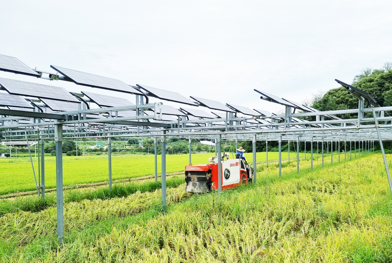 A farmer drives his combine harvester through crops growing underneath solar panels at agrivoltaic demonstration complex in Hamyang, South Gyeongsang Province on Thursday. (Hanwha Q Cell)