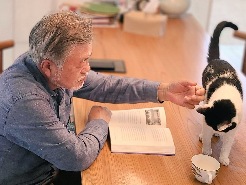 One photo shows Moon Jae-in playing with his cat.  (Daughter of Moon Jae-in, Twitter of Moon Da-hye)